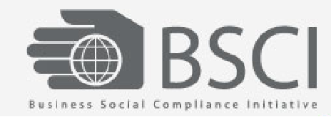 bsci logo